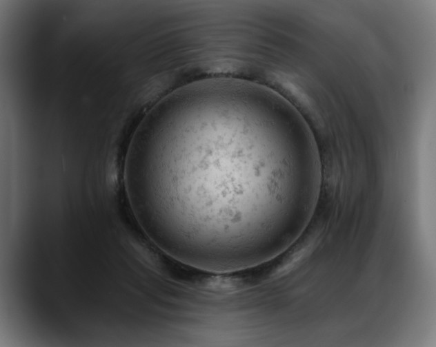 X0000088650261200705251508