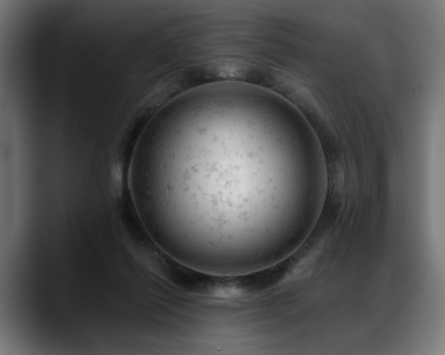 X0000088650262200705251508