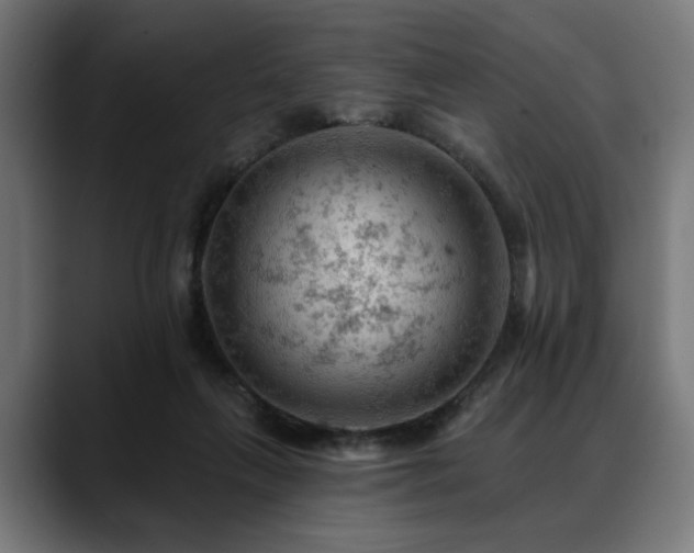 X0000088650263200705251508