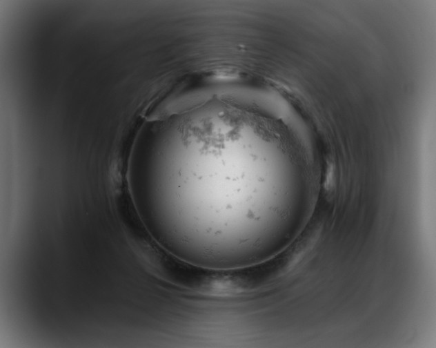 X0000088650264200705251508