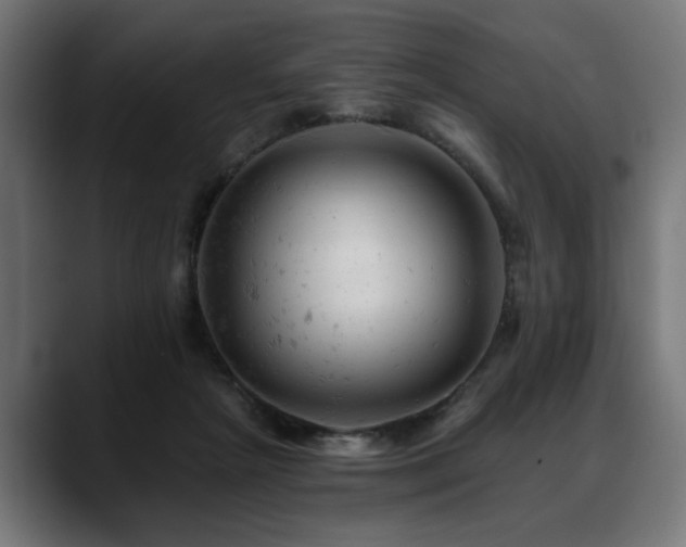 X0000088650265200705251508