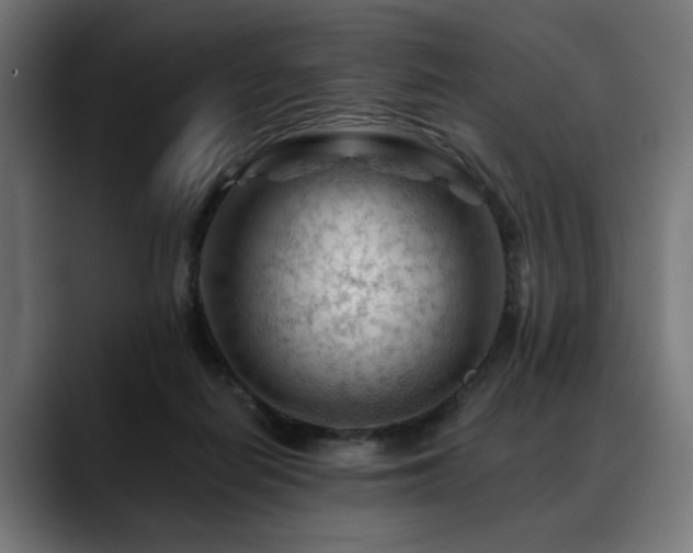 X0000088650266200705251508
