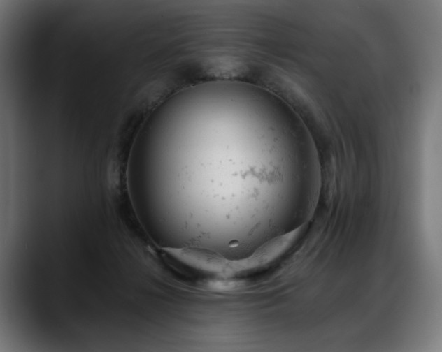 X0000088650268200705251508