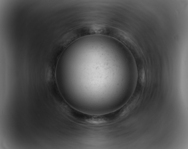 X0000088650270200705251508