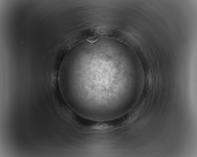 X0000088650271200705251508