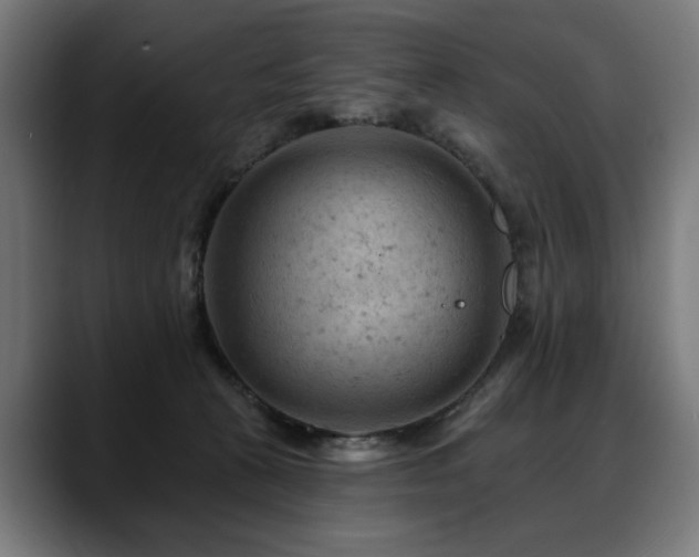 X0000088650273200705251508