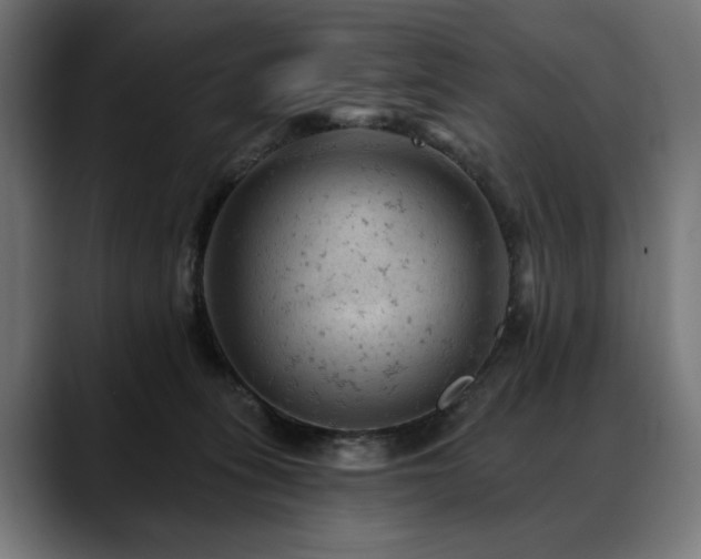 X0000088650275200705251508