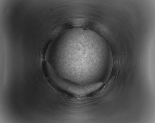 X0000088650277200705251508