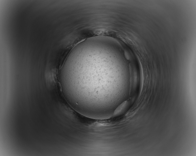 X0000088650280200705251508