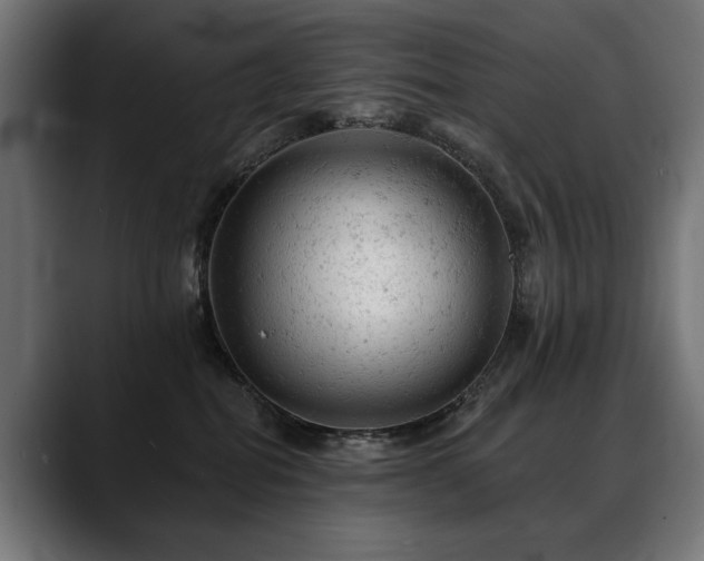 X0000088650282200705251508
