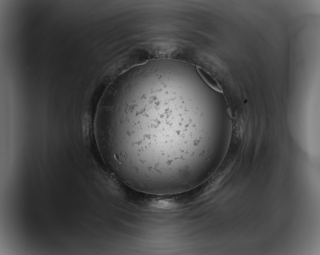 X0000088650283200705251508