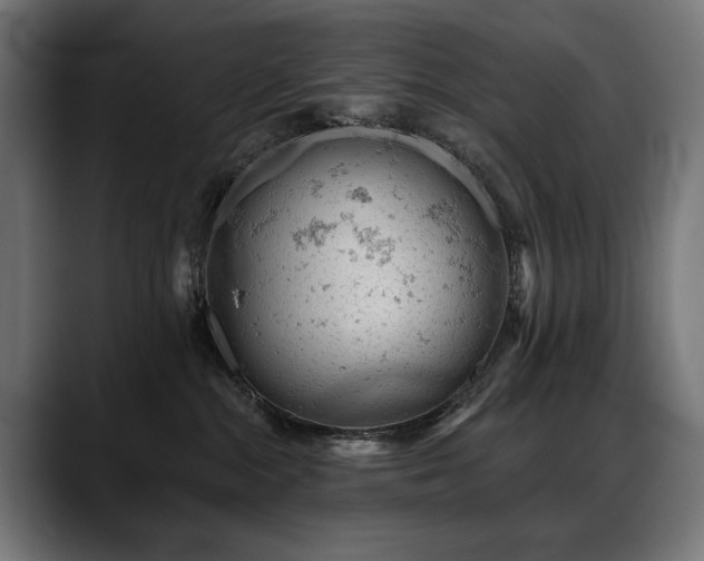 X0000088650284200705251508
