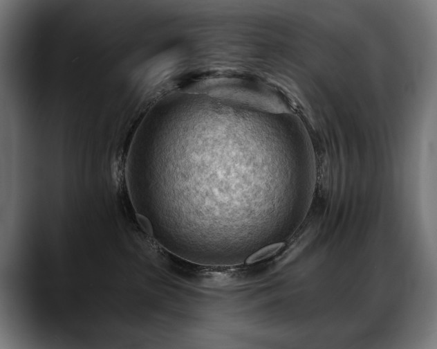 X0000088650285200705251508