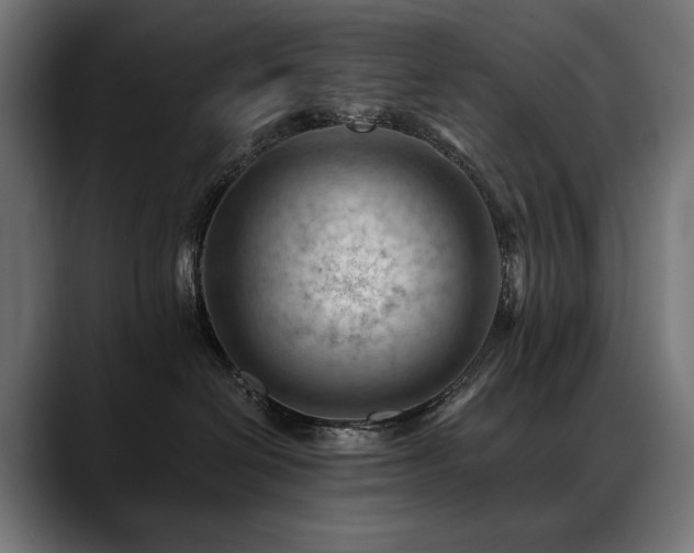 X0000088650286200705251508