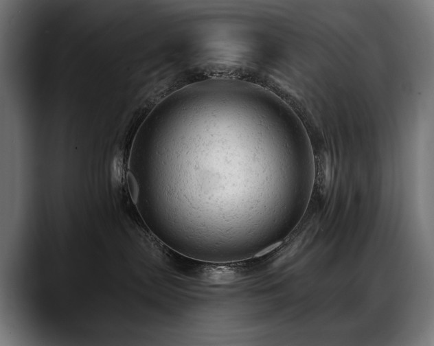 X0000088650287200705251508