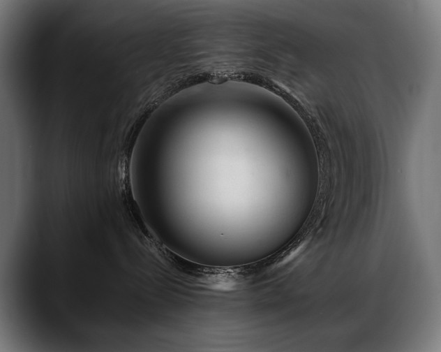 X0000088650288200705251508