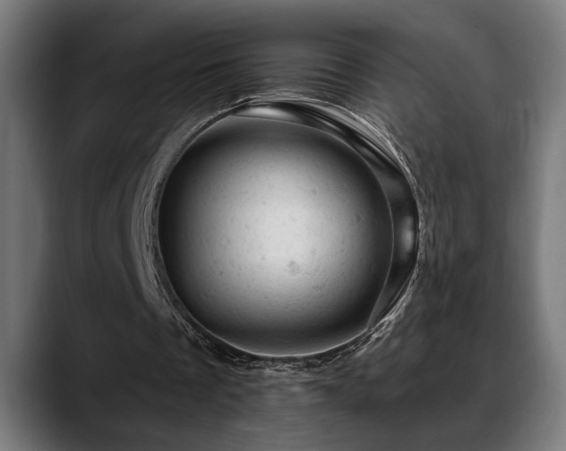 X0000088650289200705251507