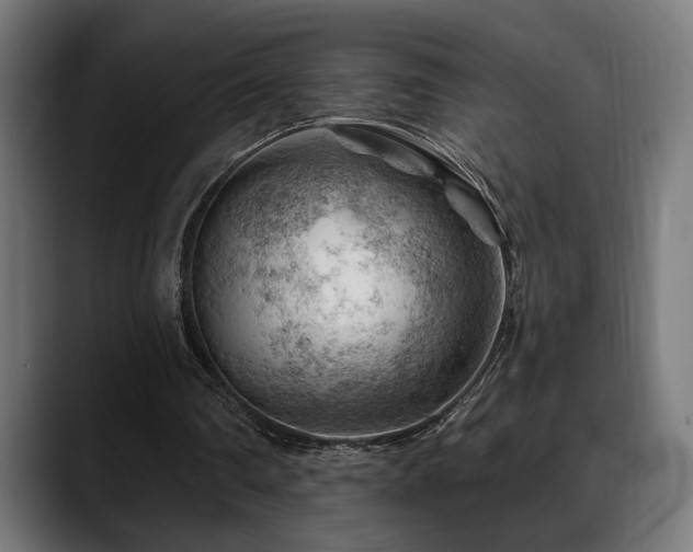 X0000088650290200705251507