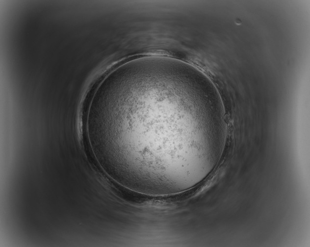 X0000088650294200705251507
