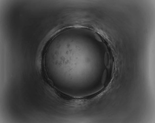 X0000088650295200705251507
