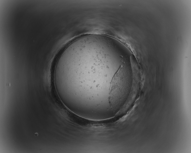 X0000088650296200705251507
