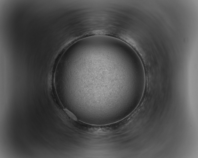 X0000088650297200705251507