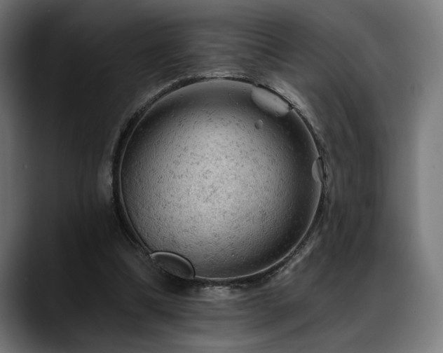 X0000088650298200705251507