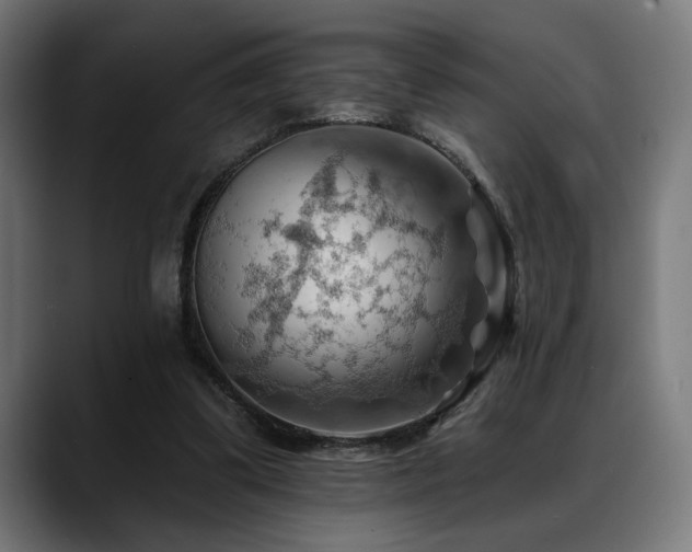 X0000088650299200705251507