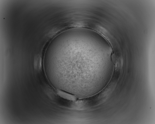 X0000088650301200705251507