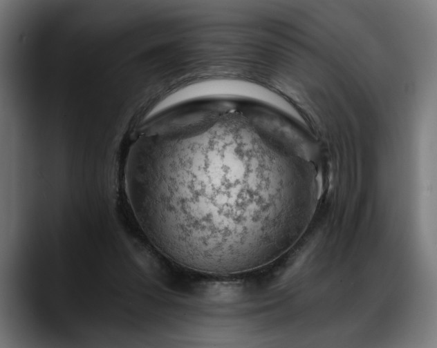 X0000088650303200705251507