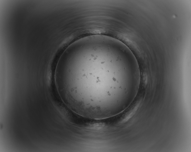 X0000088650304200705251507