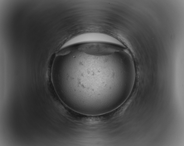 X0000088650305200705251507