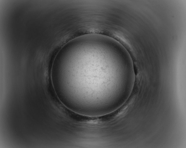 X0000088650306200705251507