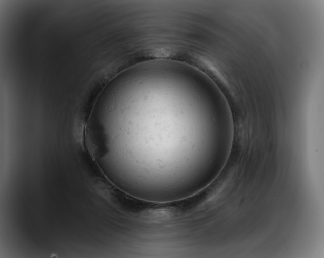 X0000088650307200705251507