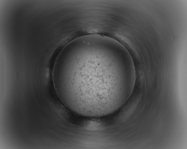 X0000088650308200705251507