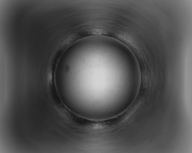 X0000088650310200705251507