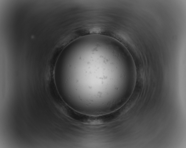 X0000088650311200705251507