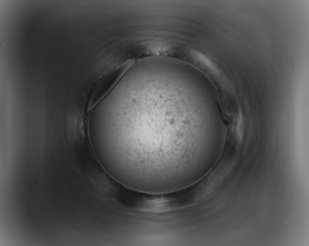 X0000088650313200705251507