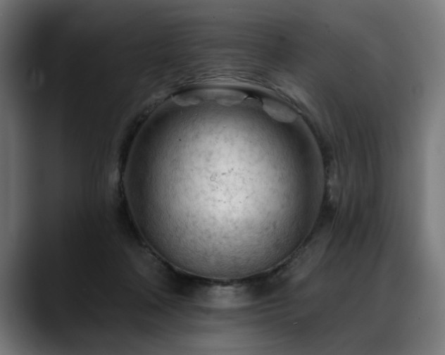 X0000088650314200705251507