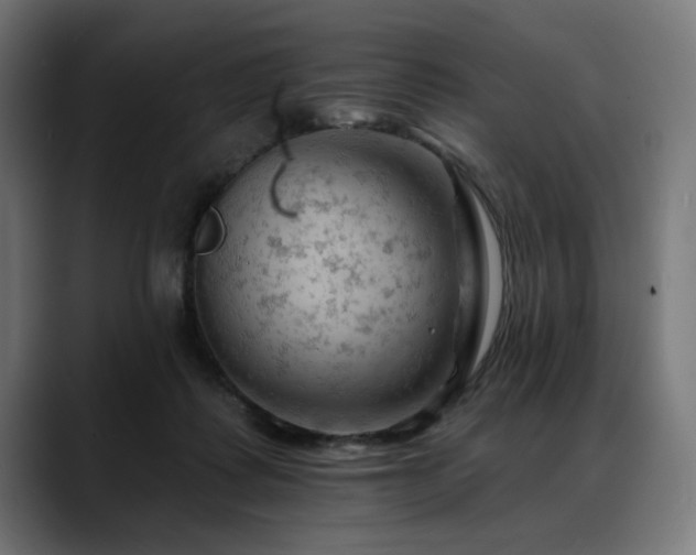 X0000088650315200705251507