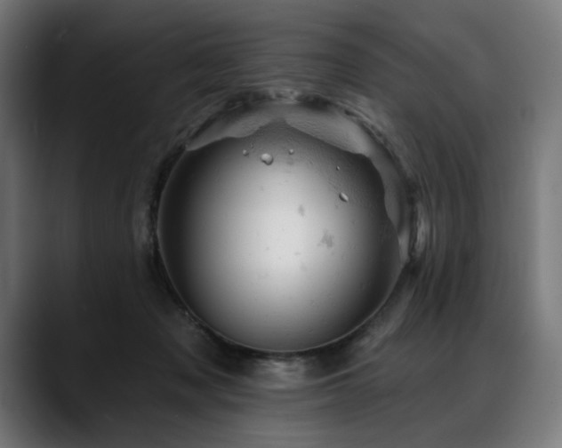 X0000088650317200705251507