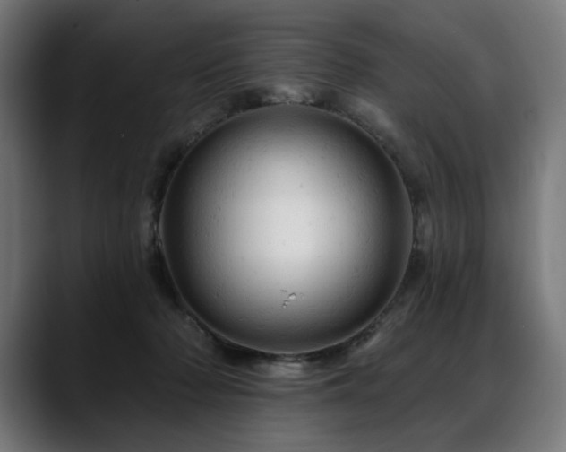 X0000088650318200705251507