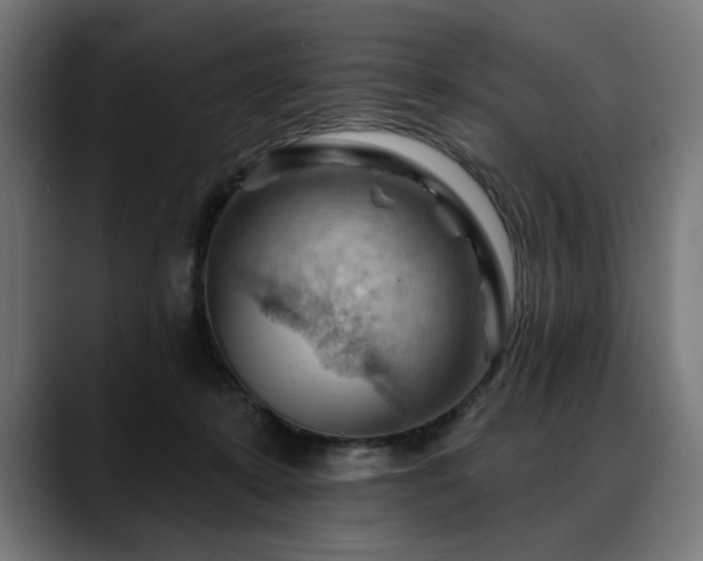 X0000088650319200705251507