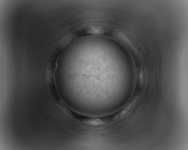 X0000088650322200705251507