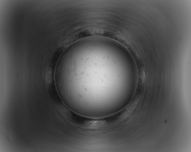 X0000088650323200705251507