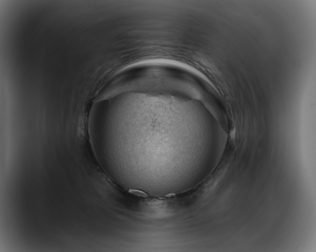 X0000088650325200705251507