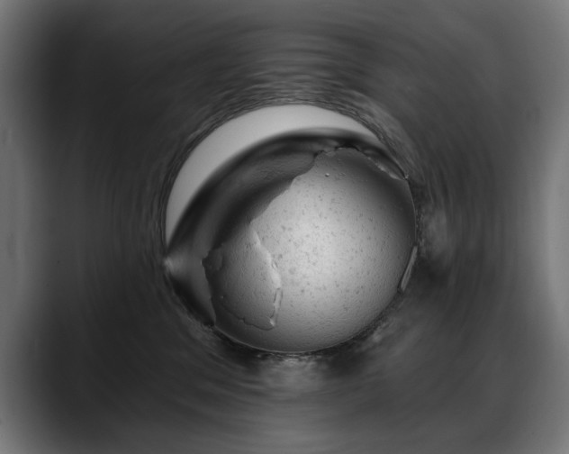 X0000088650329200705251507