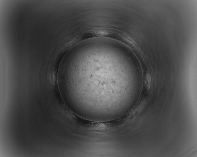 X0000088650330200705251507