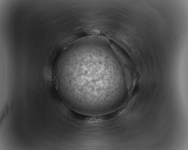 X0000088650331200705251507