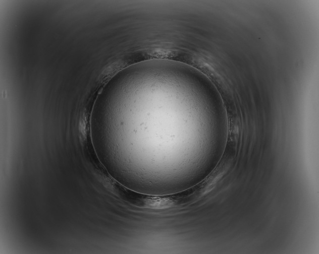 X0000088650334200705251507